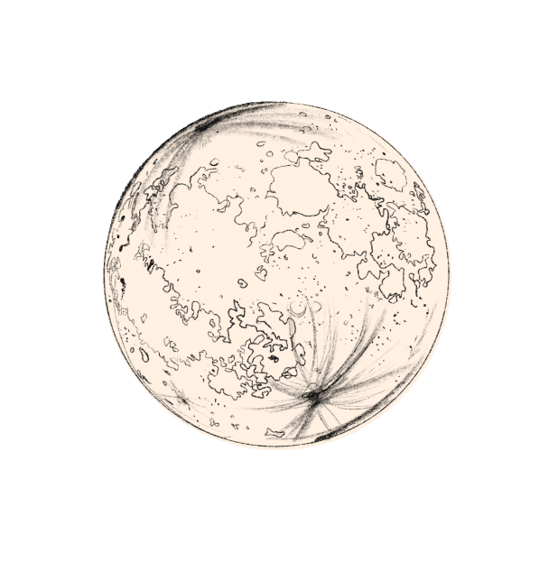 Line drawing of a globe.